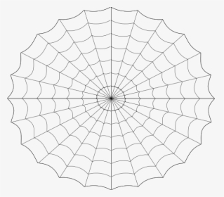 Spider Webs Png - Tela De Araña Png, Transparent Png, Transparent PNG