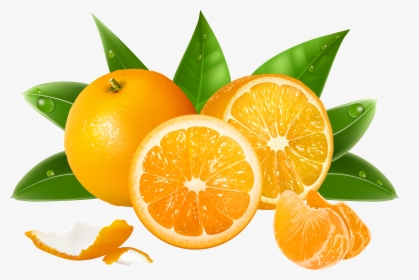 Orange S Png - Transparent Background Oranges Clipart, Png Download, Transparent PNG