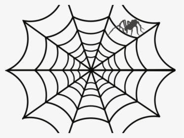 Drawn Spider Funnel Web - Spider Web Clipart, HD Png Download, Transparent PNG