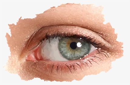 Œil Look Female Free Picture - Girl Real Eyes Png, Transparent Png ,  Transparent Png Image - PNGitem