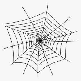 Graphing A Spider Web, HD Png Download, Transparent PNG