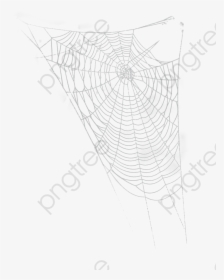 Halloween Clipart Spider Web - Spider Web, HD Png Download, Transparent PNG