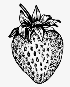 Strawberry Black And White Png, Transparent Png, Transparent PNG