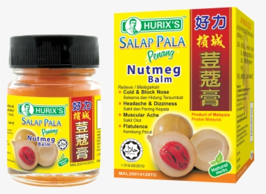 Transparent Nutmeg Clipart - Hurixs Salap Pala Penang, HD Png Download, Transparent PNG
