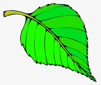 Tree Clipart Leaf - Hungry Caterpillar Green Leaf, HD Png Download ,  Transparent Png Image - PNGitem
