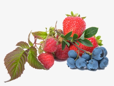 Blueberry, Raspberry, Strawberry, Fruit - Blueberry And Strawberry Png, Transparent Png, Transparent PNG