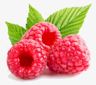 Alpine-strawberry - Raspberry Png, Transparent Png, Transparent PNG