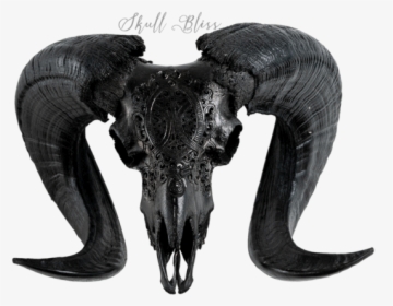 Carved Ram Skull - Horn, HD Png Download, Transparent PNG
