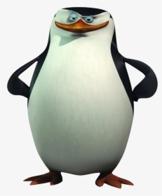 Madagascar Penguin Png Image - Madagascar Penguins, Transparent Png, Transparent PNG