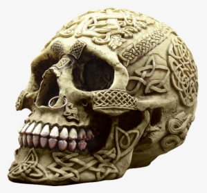Pierced Celtic Tribal Skull - Nose On A Skull, HD Png Download, Transparent PNG