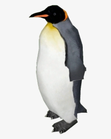 Bird,penguin,flightless Bird,vertebrate,emperor Penguin,king - King Penguin Emperor Penguin Png, Transparent Png, Transparent PNG