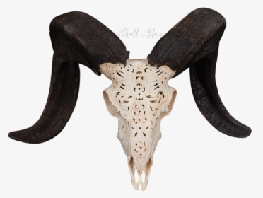 Carved Ram Skull - Ram Skull Png Transparent, Png Download, Transparent PNG