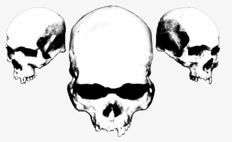 Black And White Skulls, HD Png Download, Transparent PNG