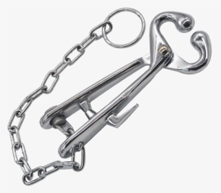 2452354883 - Chain, HD Png Download, Transparent PNG