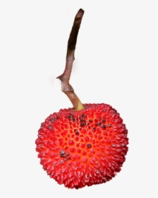 Strawberry, Isolated, Png, Fruit, Eat, Nature, Close, Transparent Png, Transparent PNG