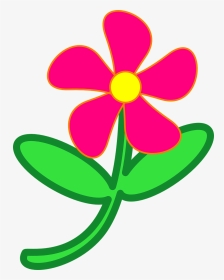 Flower, Pink, Daisy, Garden, Nature, Summer, Flora, HD Png Download, Transparent PNG