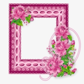 Pink Daisy Png, Transparent Png, Transparent PNG