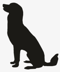 Pet Sitting Labrador Retriever Puppy Golden Retriever, HD Png Download, Transparent PNG