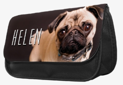 Personalised Golden Retriever Pup Pencil Make Up Case, HD Png Download, Transparent PNG