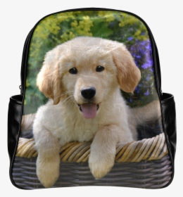 Cute Young Golden Retriever Dog Goldie Puppy Portrait, HD Png Download, Transparent PNG