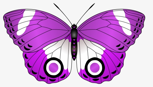 Red Butterfly Transparent Clipart , Png Download, Png Download, Transparent PNG