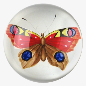 Transparent Red Butterfly Png, Png Download, Transparent PNG