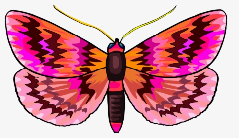 Transparent Monarch Butterfly Clipart, HD Png Download, Transparent PNG