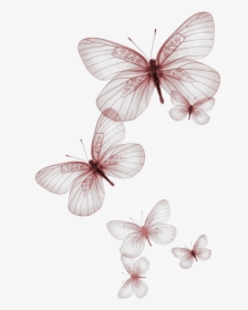 Red Butterflies, HD Png Download, Transparent PNG