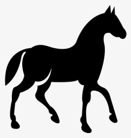 Black Race Horse On Walking Pose Side View, HD Png Download, Transparent PNG