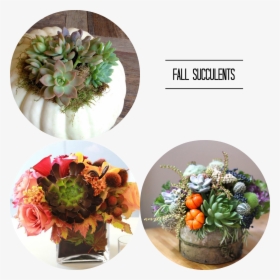 Fall Flowers Png, Transparent Png, Transparent PNG