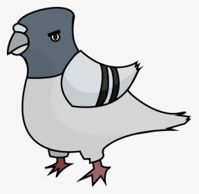 Angry Pigeon Clipart, HD Png Download, Transparent PNG