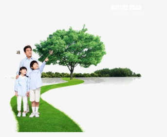 Lawn Vector Tree Grass, HD Png Download, Transparent PNG