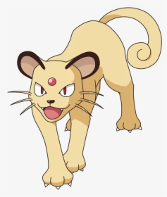 Transparent Persian Png, Png Download, Transparent PNG