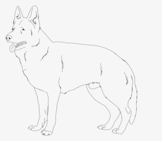 Showing Picture How To Draw An Angry Dog, HD Png Download, Transparent PNG