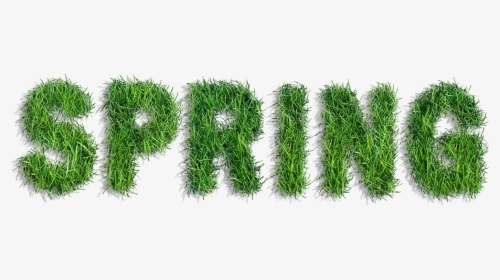 Graphic Freeuse Stock Spring Of Grass Png Clipart, Transparent Png, Transparent PNG