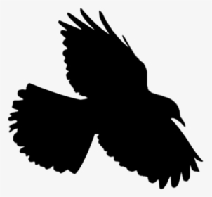 #bird #flying #flyingbird #silhouette, HD Png Download, Transparent PNG