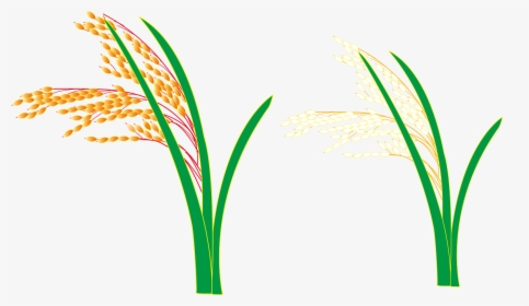 Logo Grasses Leaf Plant Stem Font, HD Png Download, Transparent PNG