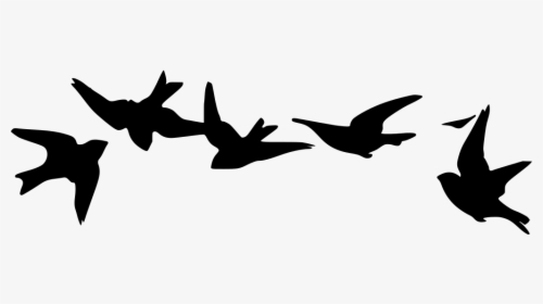 Flying Bird Silhouette Png, Transparent Png, Transparent PNG