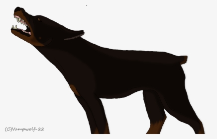 Angry Doberman By Vampwolf 22-d5s3bdk, HD Png Download, Transparent PNG