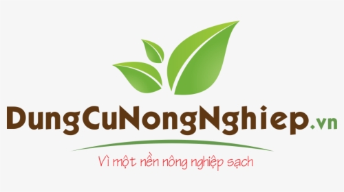 Hoa Mai, Chi Nhánh, Hoa, Mùa Xuân, Chồi, Clipping, HD Png Download ...