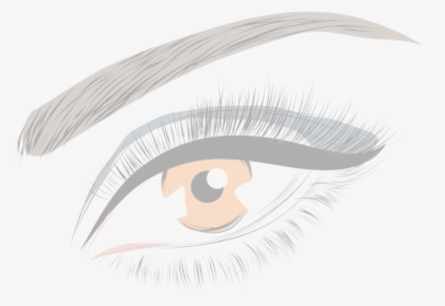 Eyelash Drawing Eyebrow, HD Png Download, Transparent PNG