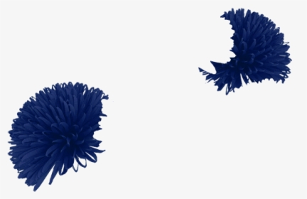 Pom Poms Png, Transparent Png, Transparent PNG