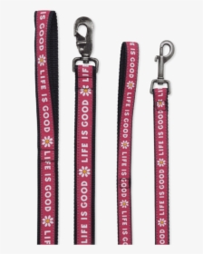 Life Is Good Nylon Daisy Dog Leash, HD Png Download, Transparent PNG