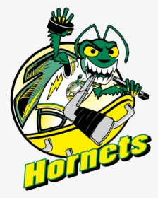 Blackhawks Png, Transparent Png, Transparent PNG