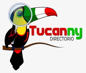 Directorio Tucanny, HD Png Download, Transparent PNG