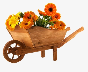 Wheelbarrow Flower Marigold Photography, HD Png Download, Transparent PNG