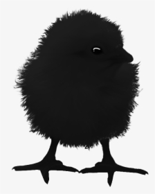 Raven Chick - Illustration, HD Png Download, Transparent PNG
