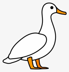 American Pekin Duck Mallard Clip Art, HD Png Download, Transparent PNG
