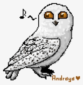 Hedwig - Owl, HD Png Download, Transparent PNG
