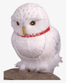 Hedwig The Owl Prop, HD Png Download, Transparent PNG